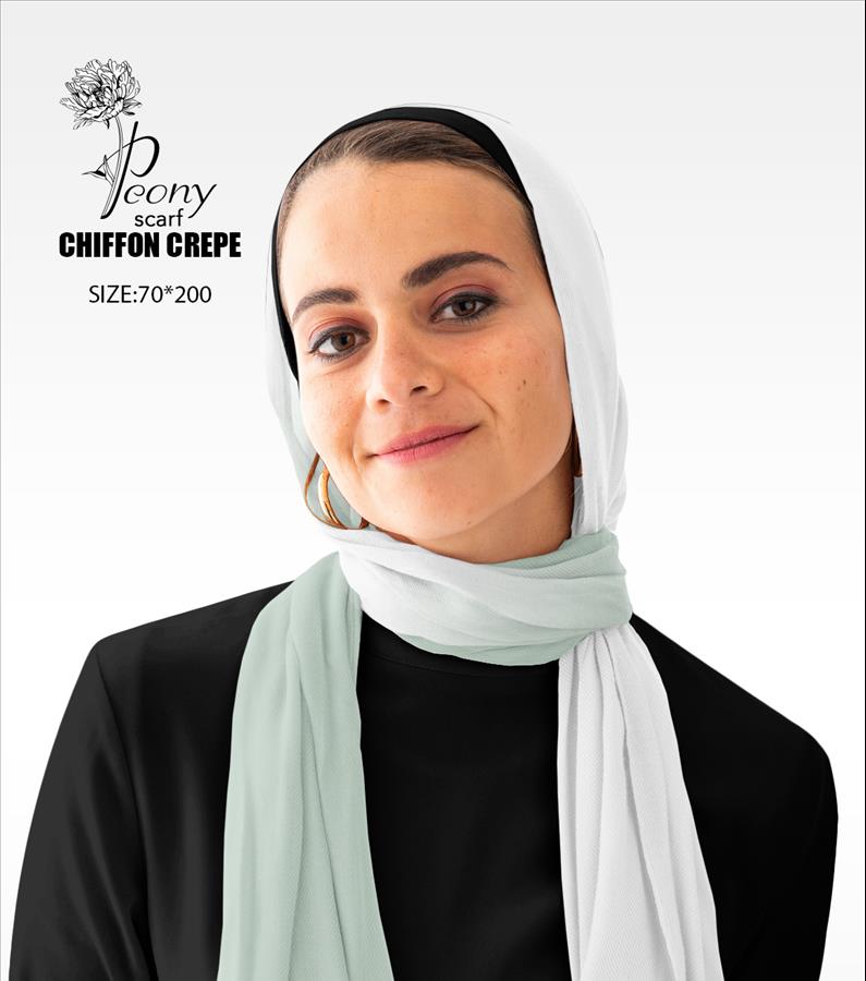 2 3 copy2 Gradient Light Pestage & White - Image 1